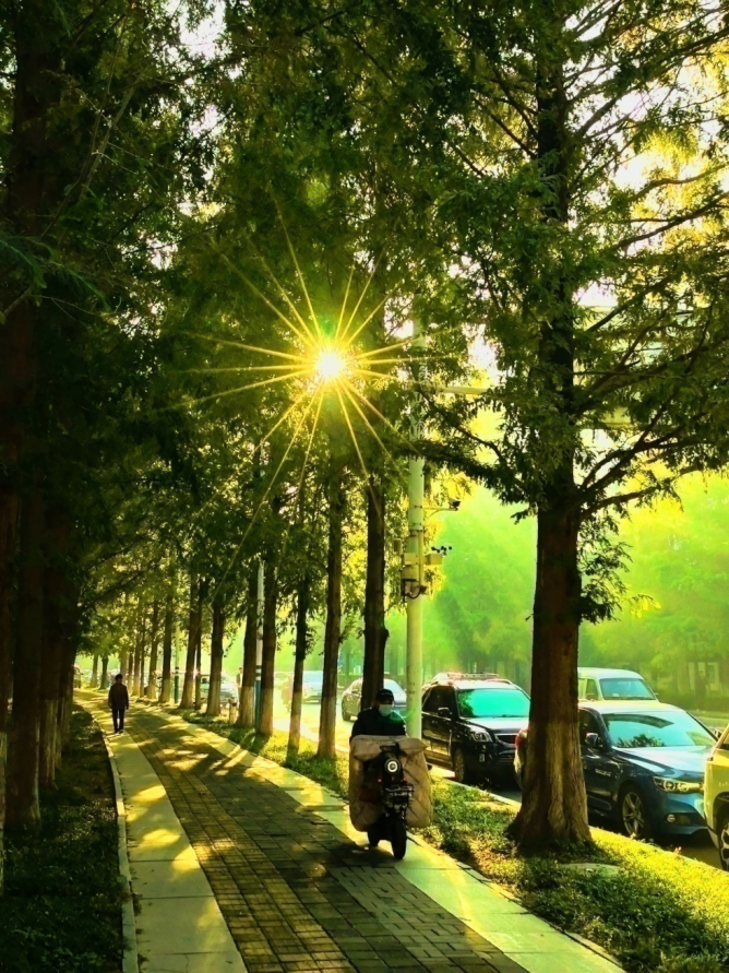 【活动回顾】镜头定格美好，光影记录生活 | 今海瑞手机摄影实操讲座圆满举办(图6)