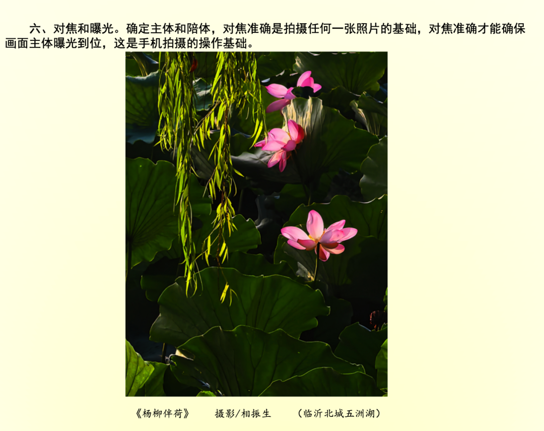 【活动回顾】镜头定格美好，光影记录生活 | 今海瑞手机摄影实操讲座圆满举办(图10)